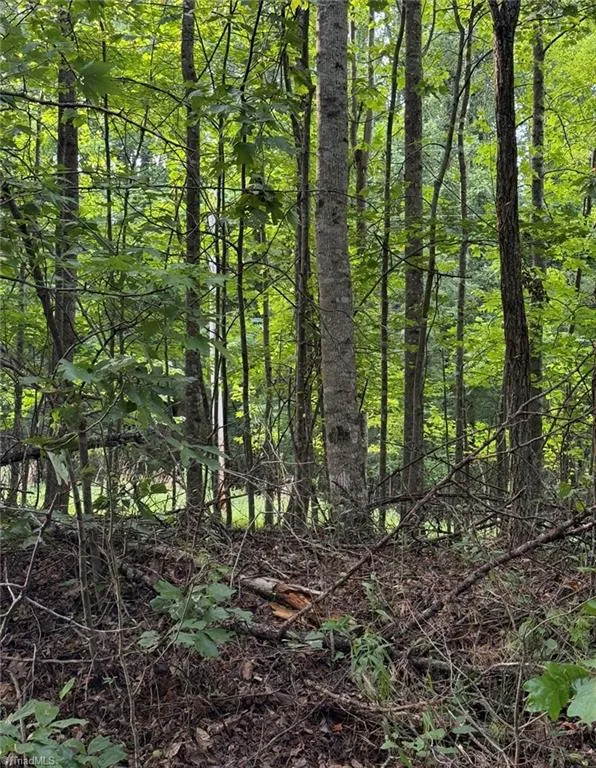 00 Locust Grove Road #67 Westfield, NC 27053