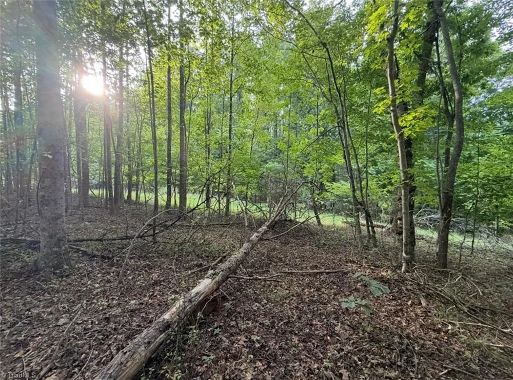 00 Locust Grove Road #67 Westfield, NC 27053