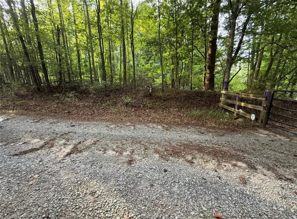 00 Locust Grove Road #67 Westfield, NC 27053
