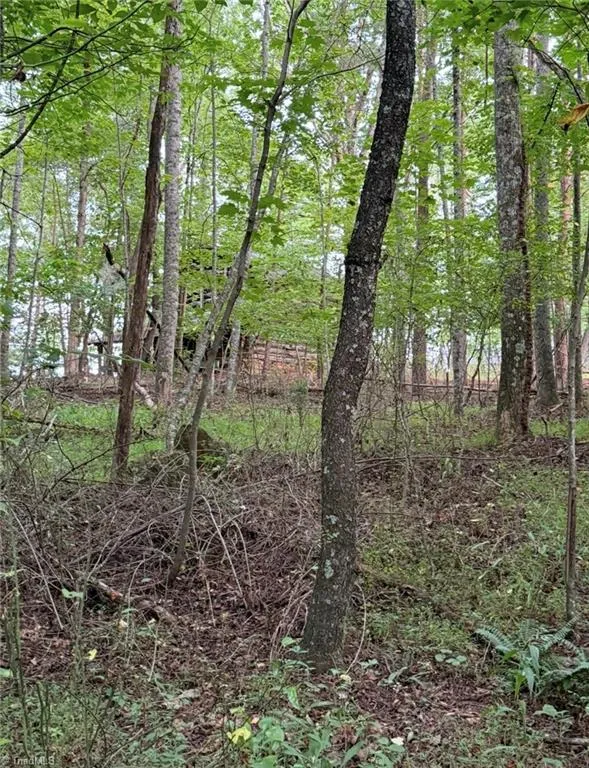 00 Locust Grove Road #67 Westfield, NC 27053