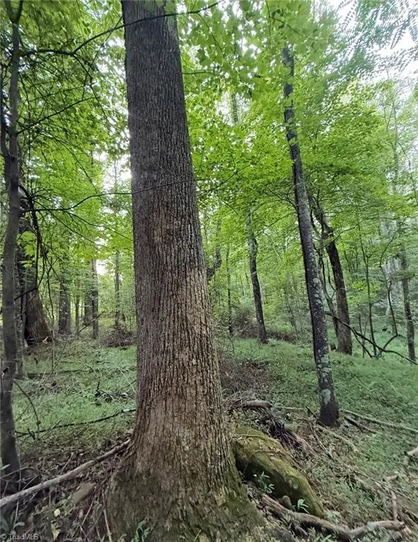 00 Locust Grove Road #67 Westfield, NC 27053