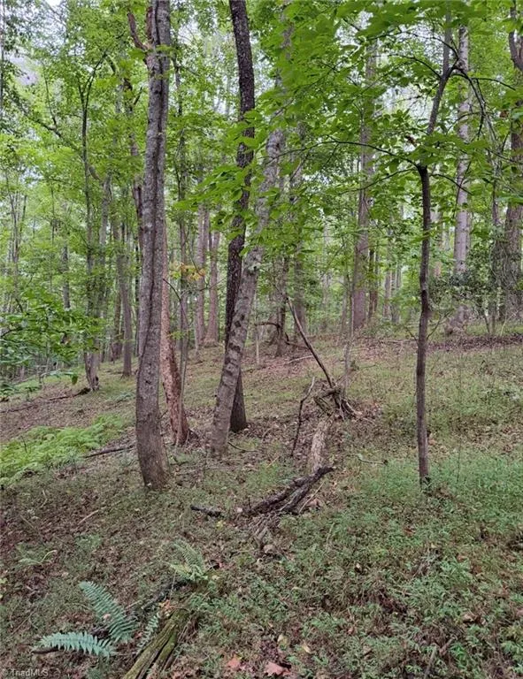 00 Locust Grove Road #67 Westfield, NC 27053