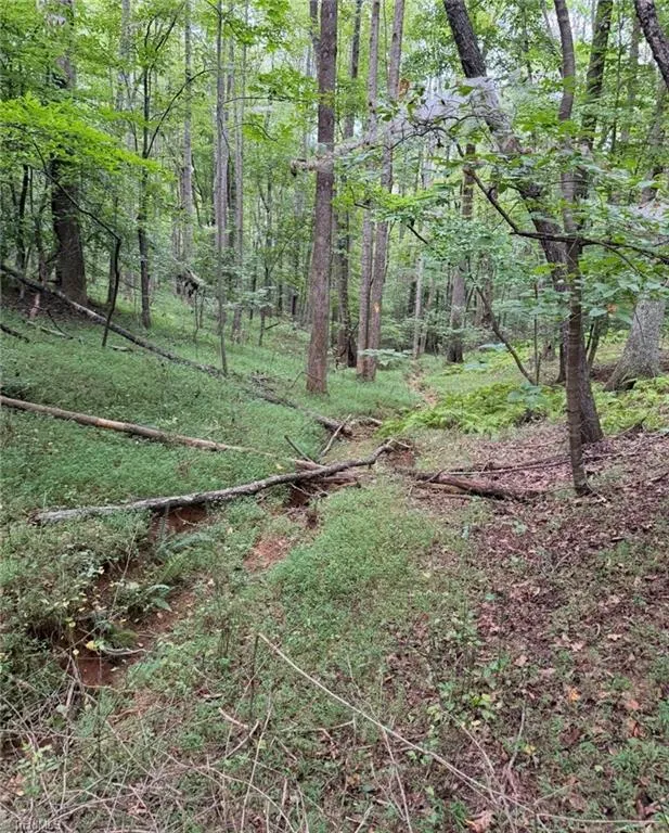 00 Locust Grove Road #67 Westfield, NC 27053