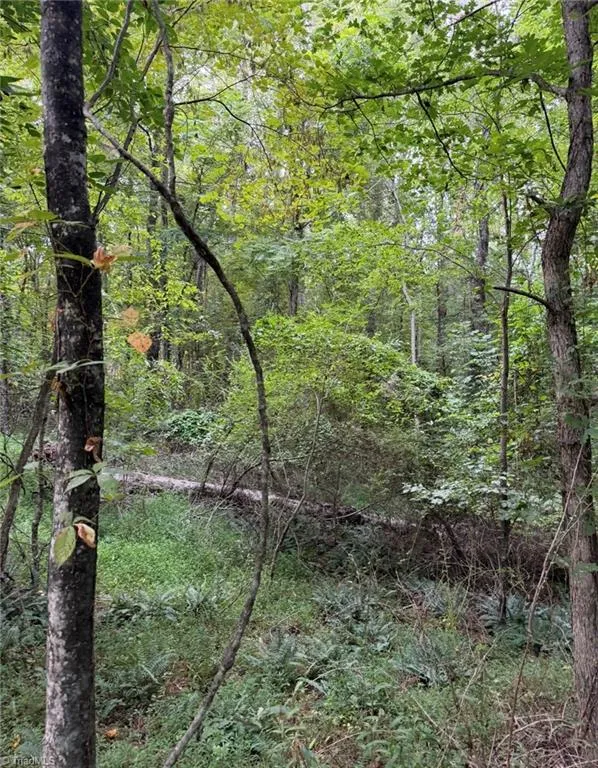 00 Locust Grove Road #67 Westfield, NC 27053