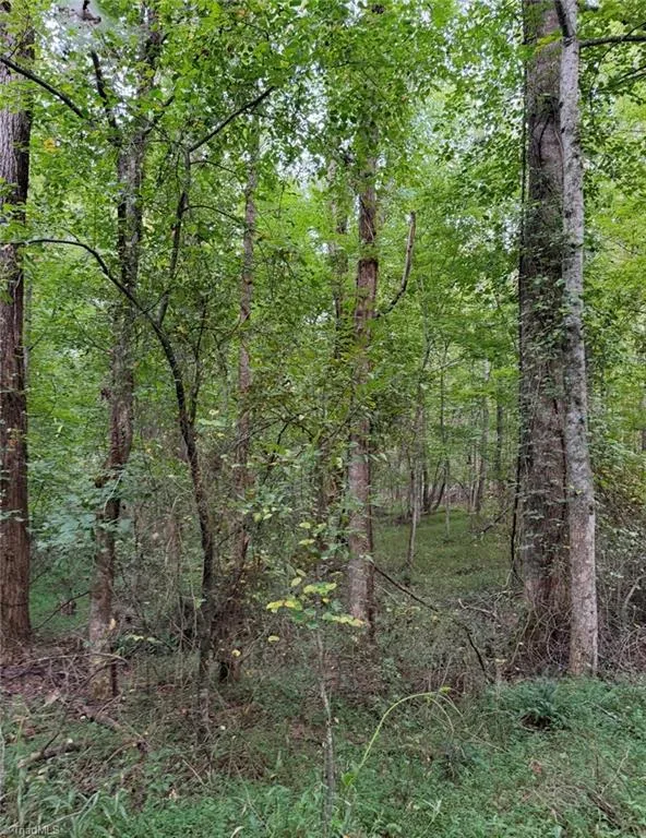 00 Locust Grove Road #67 Westfield, NC 27053