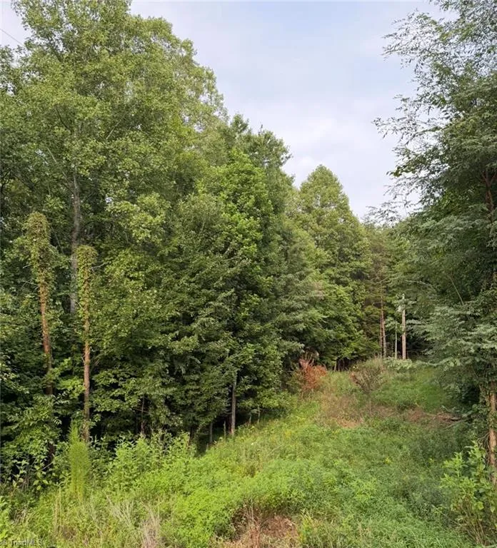 00 Locust Grove Road #67 Westfield, NC 27053