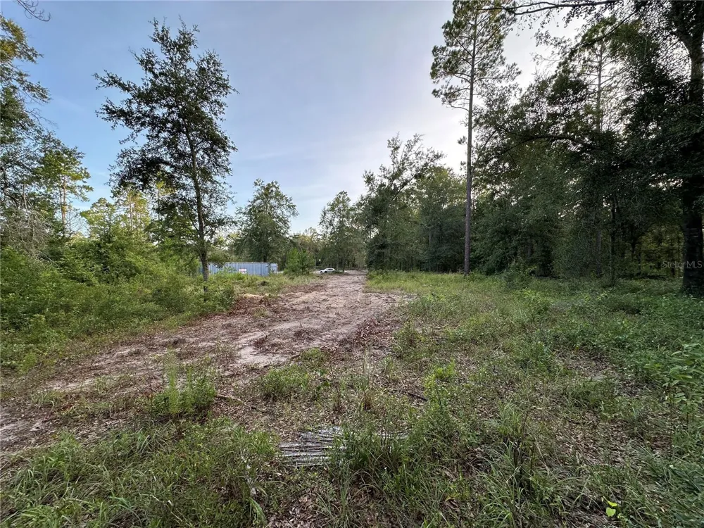 CR 49 Live Oak, FL 32060