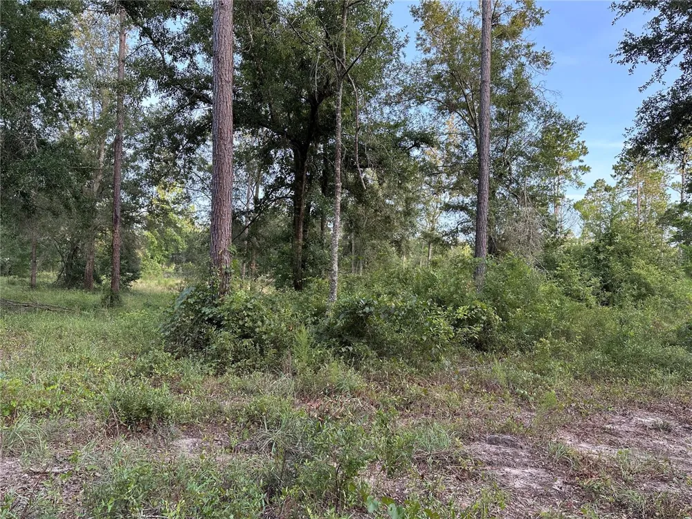 CR 49 Live Oak, FL 32060