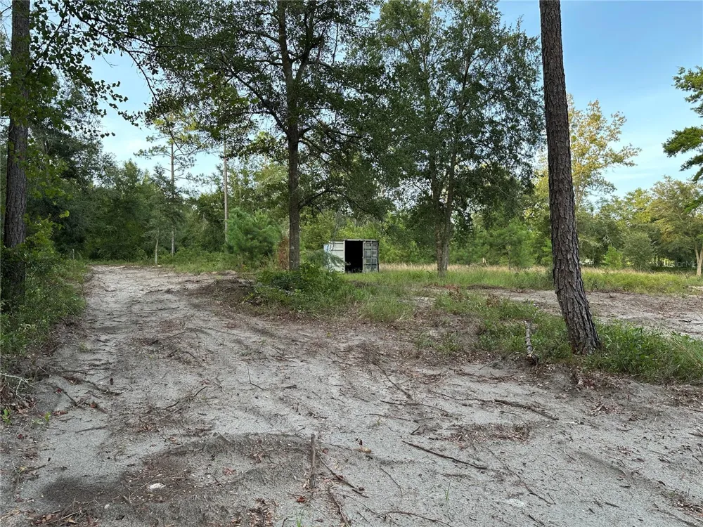 CR 49 Live Oak, FL 32060