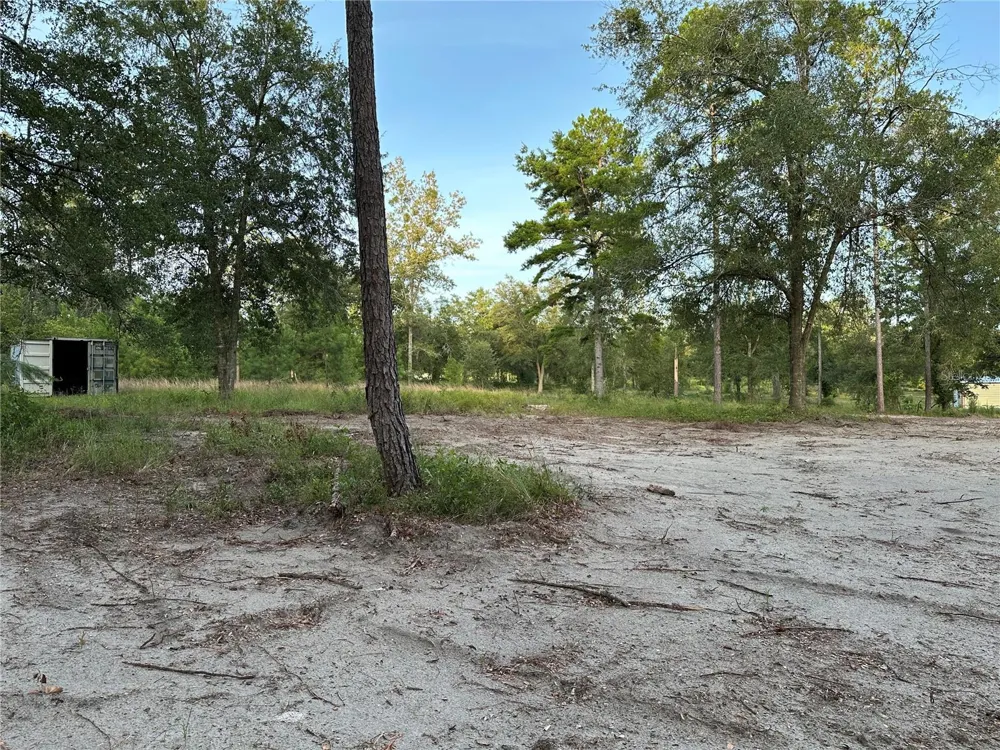 CR 49 Live Oak, FL 32060