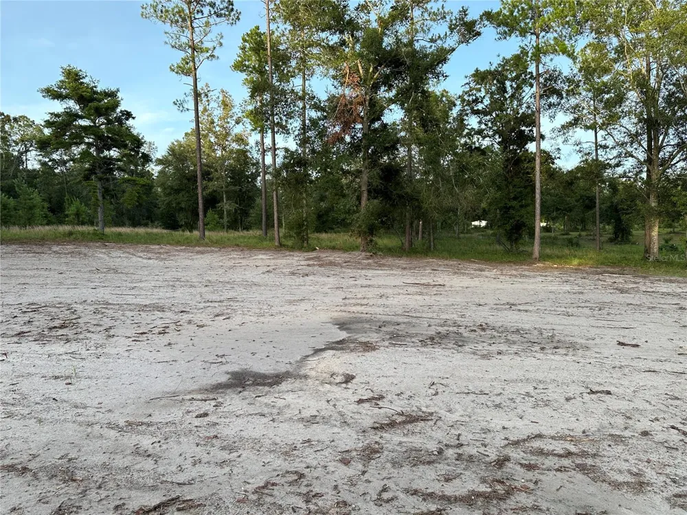 CR 49 Live Oak, FL 32060