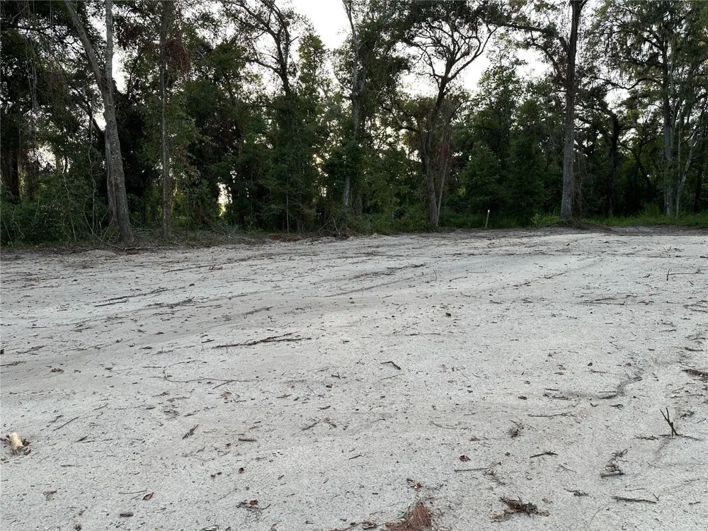 CR 49 Live Oak, FL 32060