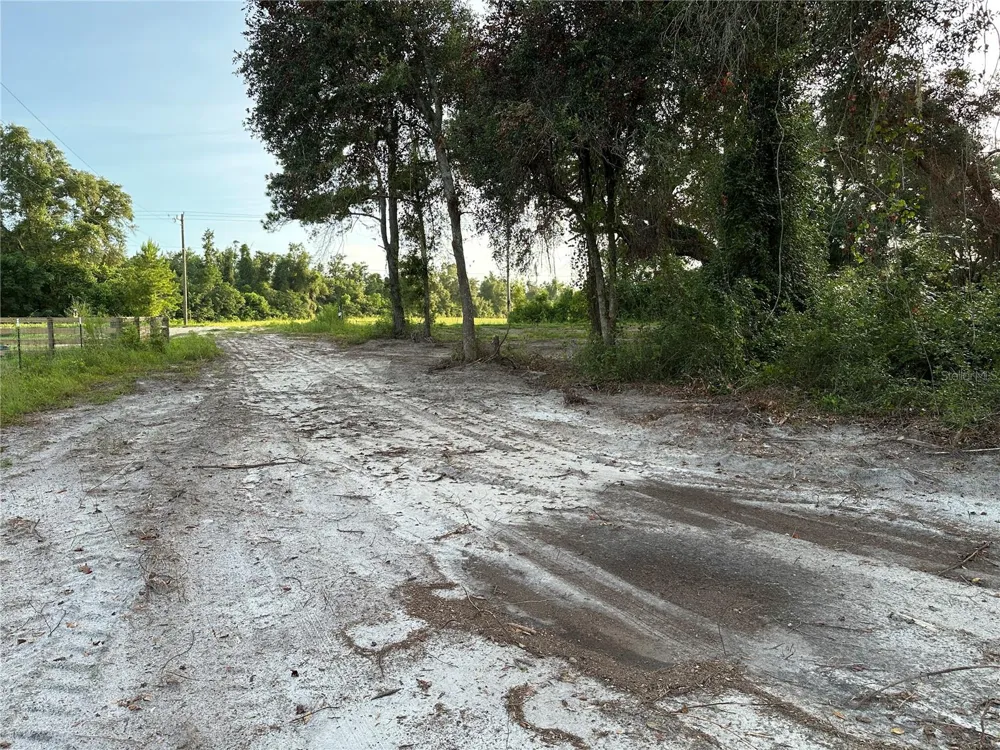 CR 49 Live Oak, FL 32060