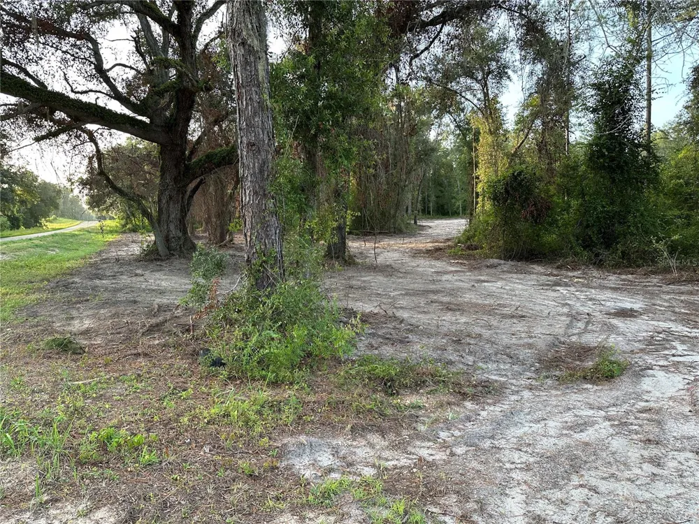 CR 49 Live Oak, FL 32060