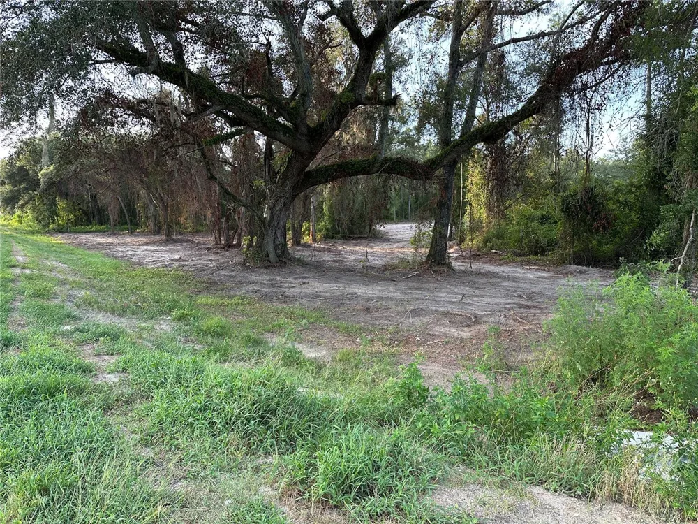 CR 49 Live Oak, FL 32060