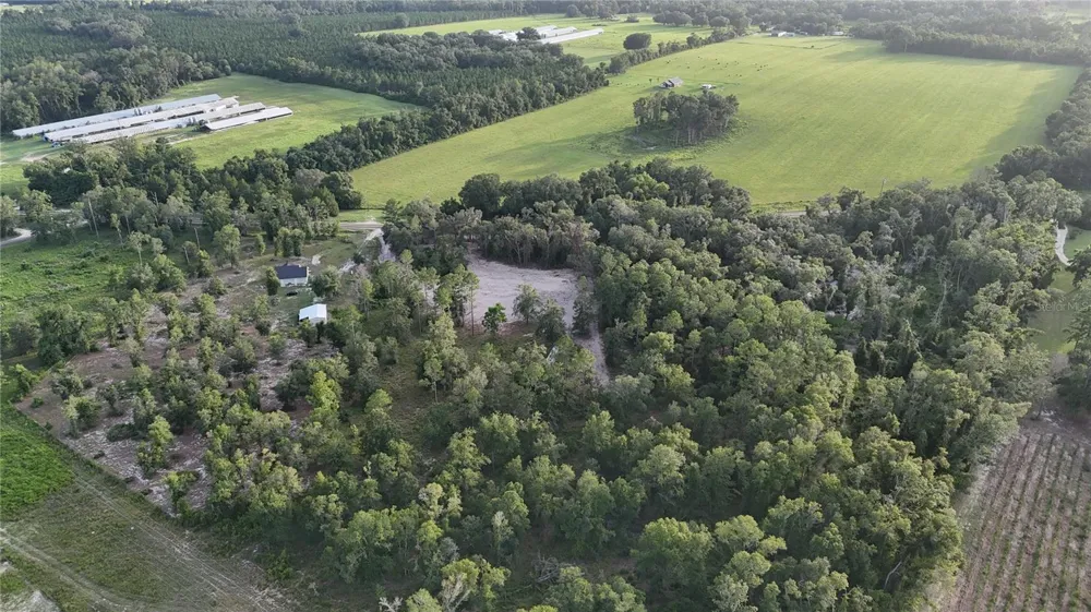 CR 49 Live Oak, FL 32060