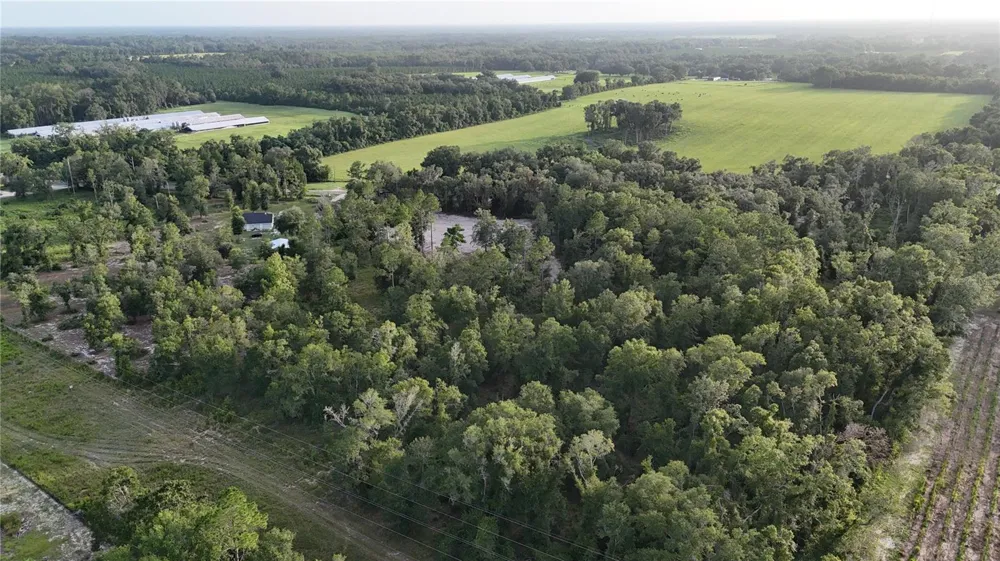 CR 49 Live Oak, FL 32060