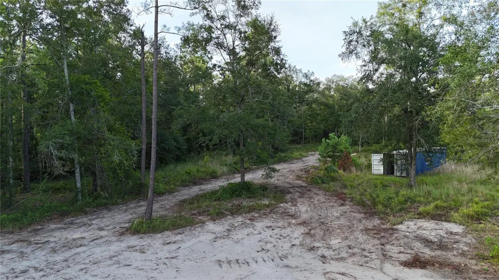 CR 49 Live Oak, FL 32060