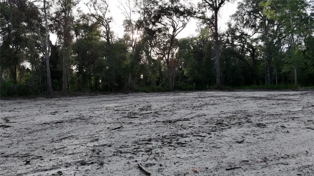 CR 49 Live Oak, FL 32060