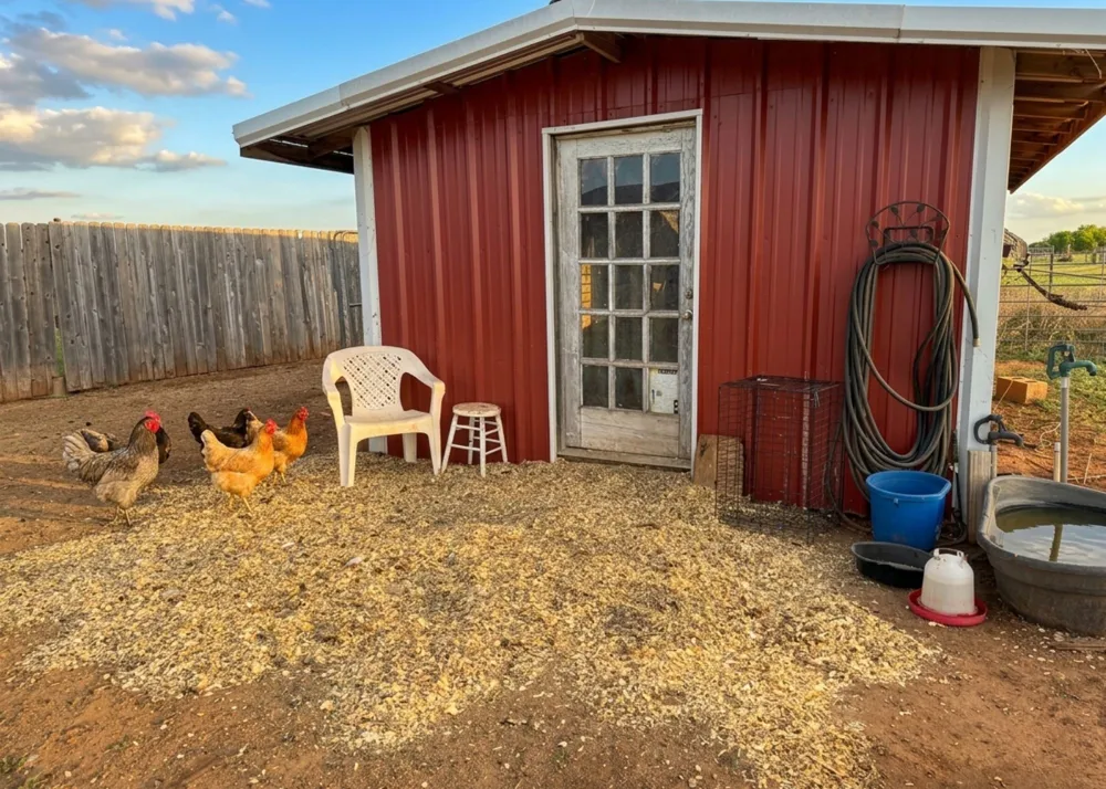 12175 Private Road 6054 Hawley, TX 79525