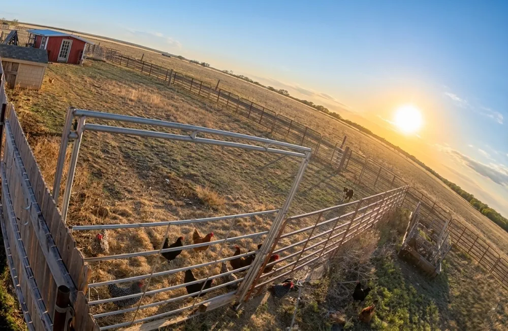 12175 Private Road 6054 Hawley, TX 79525