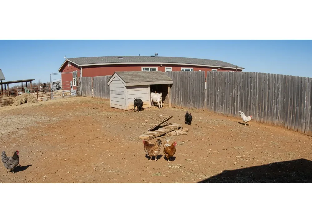 12175 Private Road 6054 Hawley, TX 79525