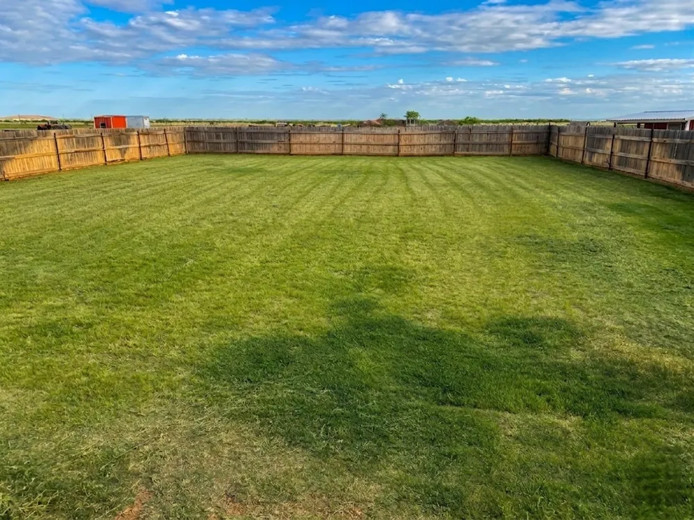 12175 Private Road 6054 Hawley, TX 79525