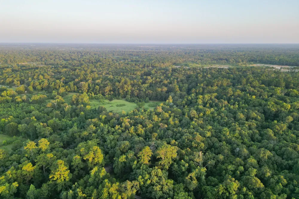 County Road 3612 Splendora, TX 77372
