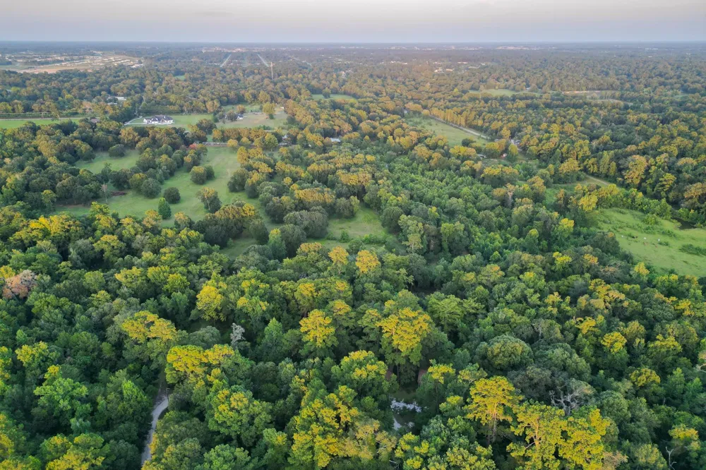 County Road 3612 Splendora, TX 77372
