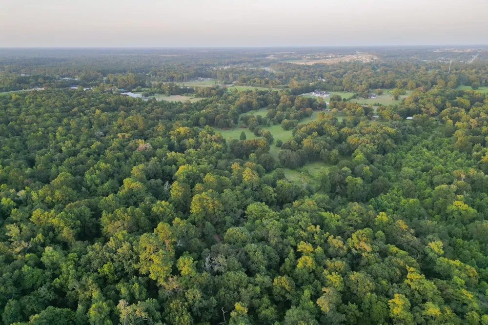 County Road 3612 Splendora, TX 77372