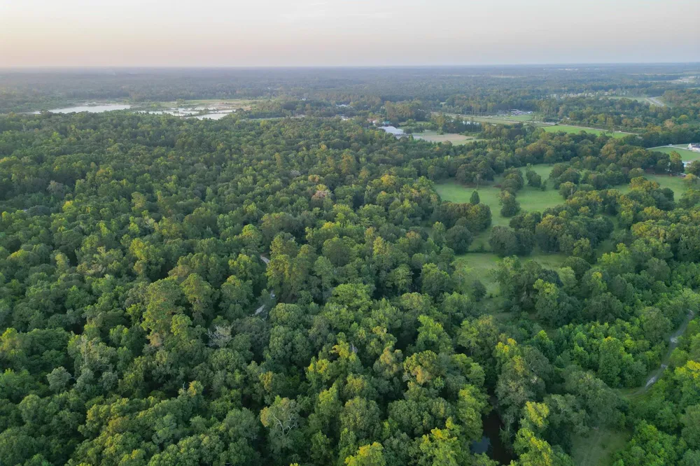 County Road 3612 Splendora, TX 77372