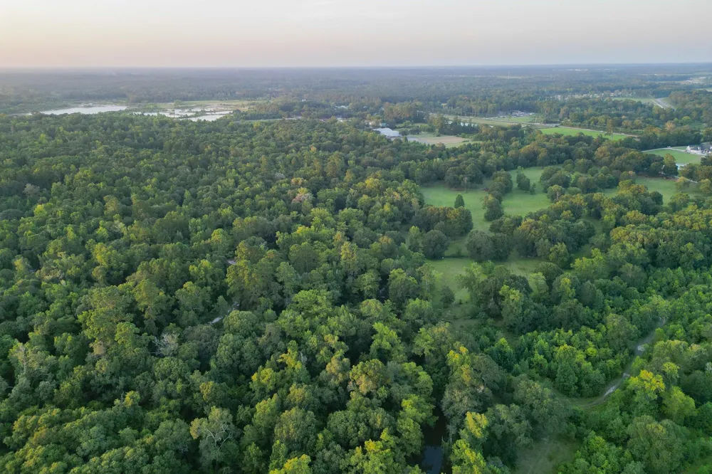 County Road 3612 Splendora, TX 77372