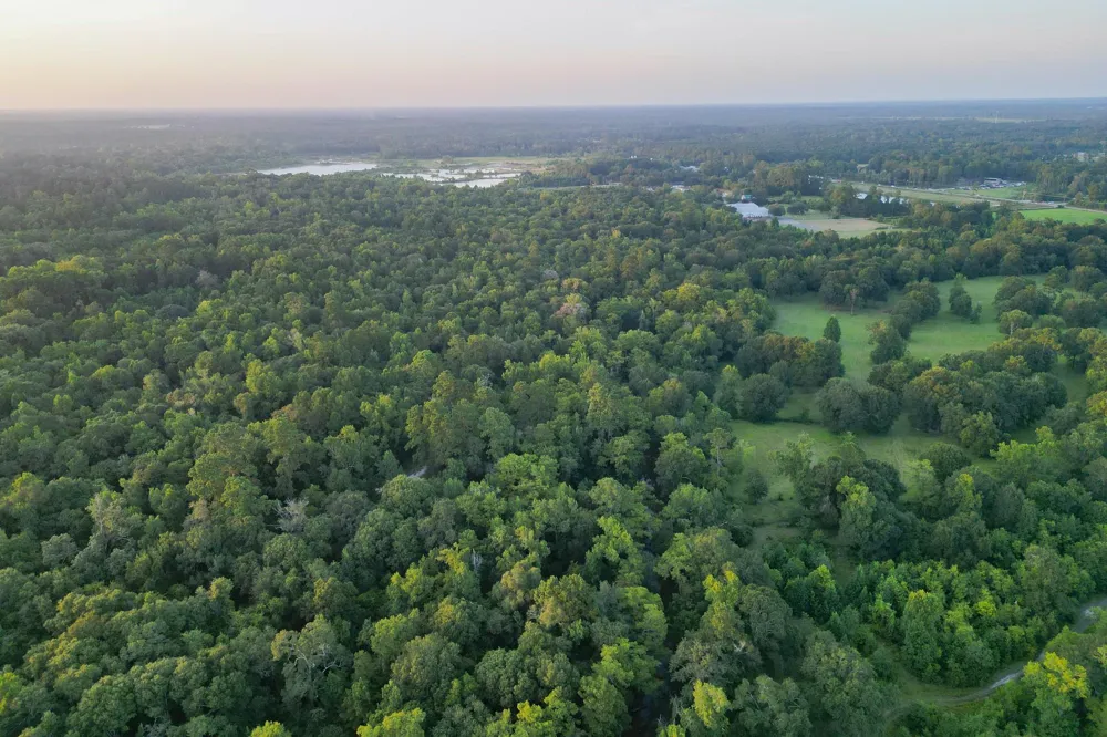 County Road 3612 Splendora, TX 77372