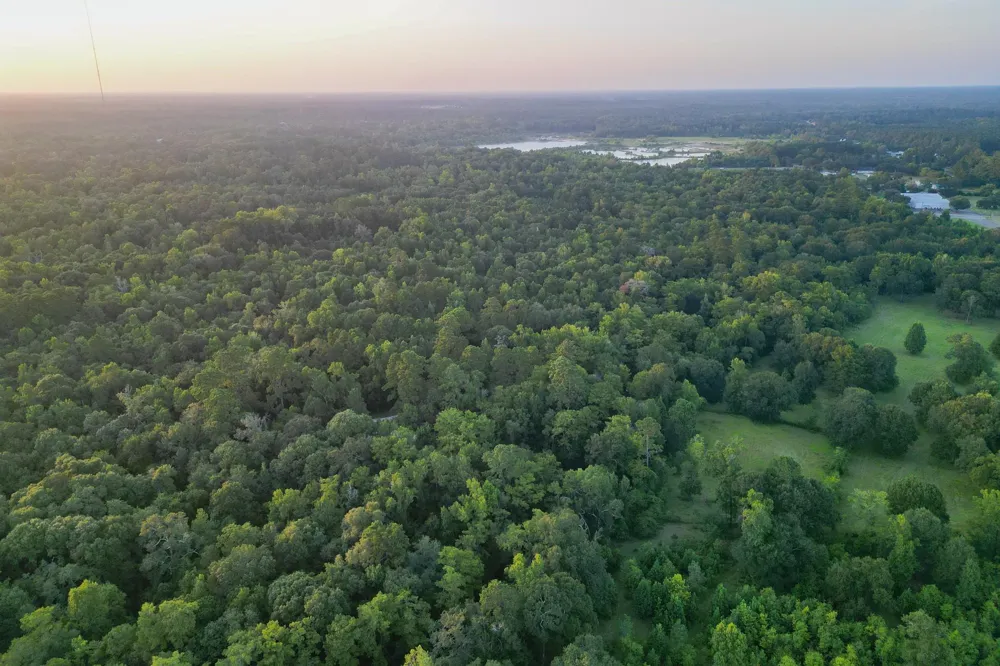 County Road 3612 Splendora, TX 77372