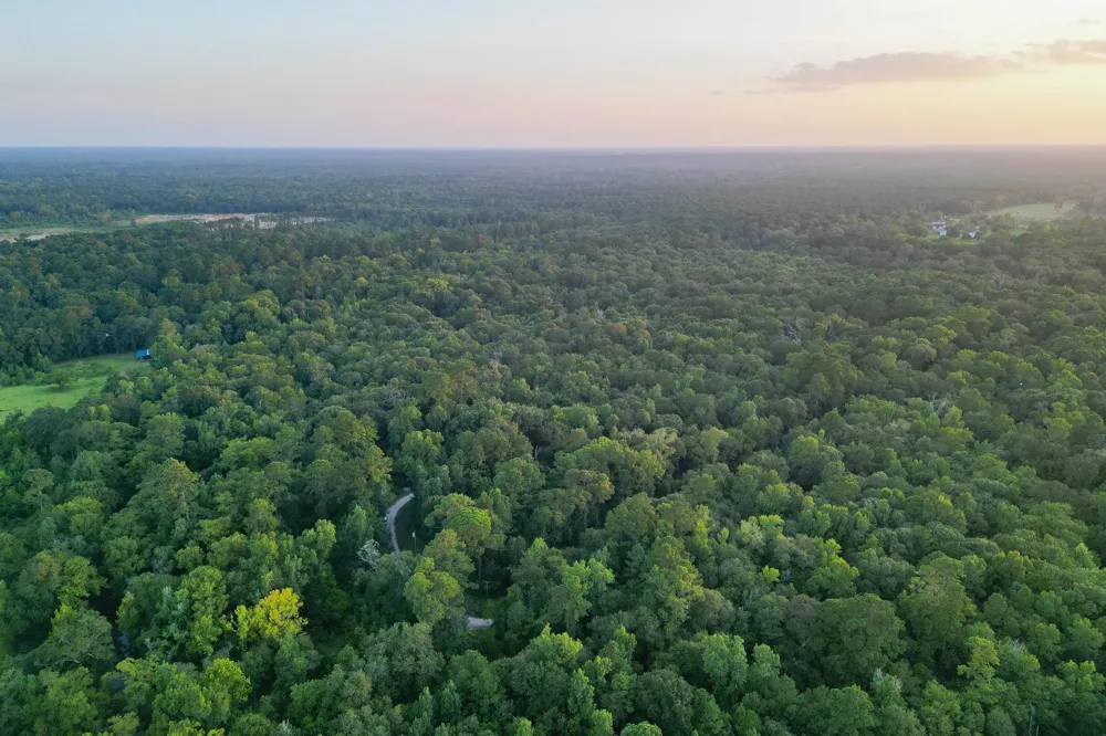 County Road 3612 Splendora, TX 77372