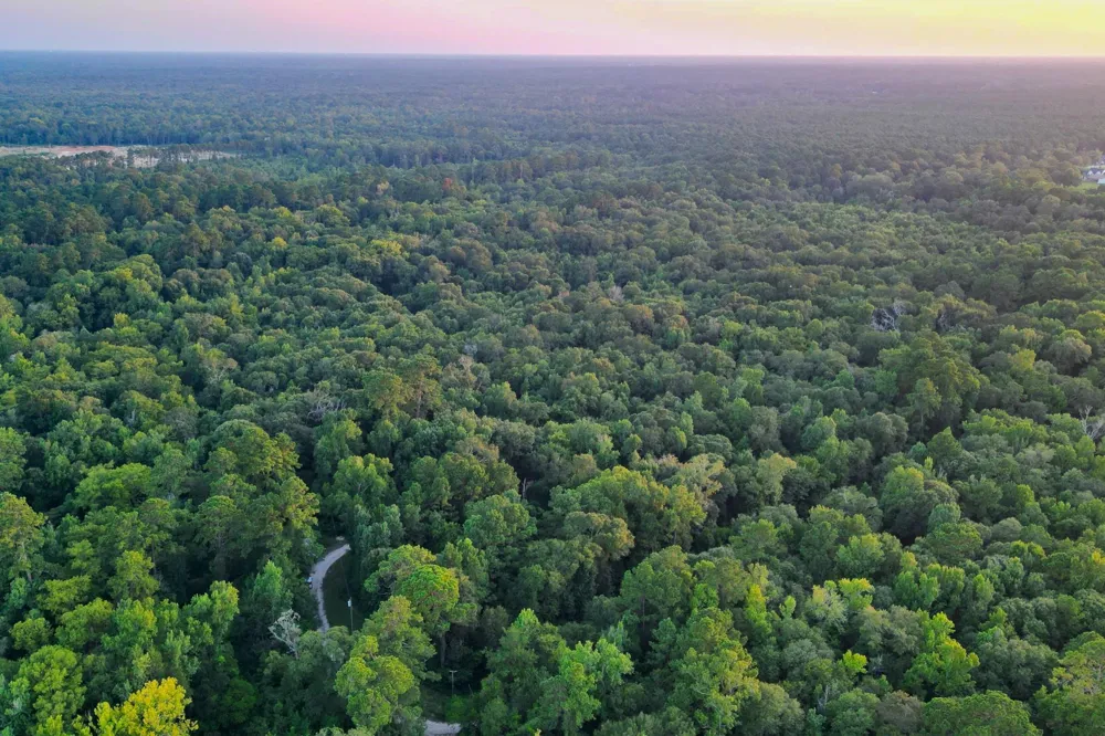 County Road 3612 Splendora, TX 77372