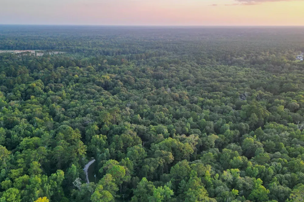 County Road 3612 Splendora, TX 77372