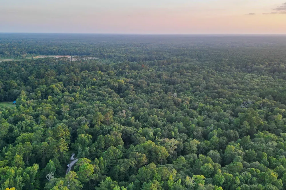 County Road 3612 Splendora, TX 77372