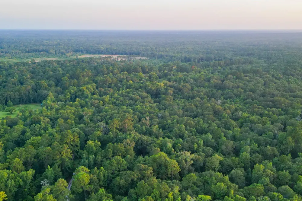 County Road 3612 Splendora, TX 77372