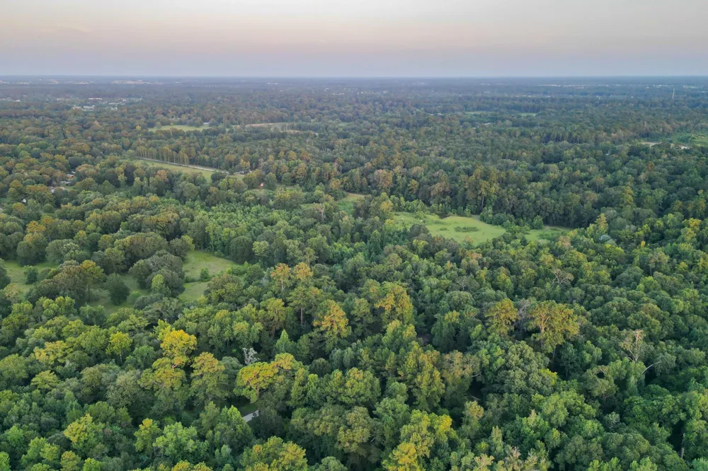 County Road 3612 Splendora, TX 77372