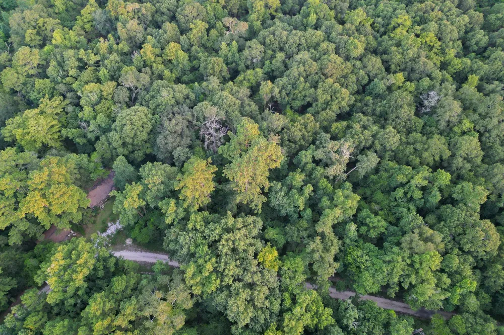 County Road 3612 Splendora, TX 77372