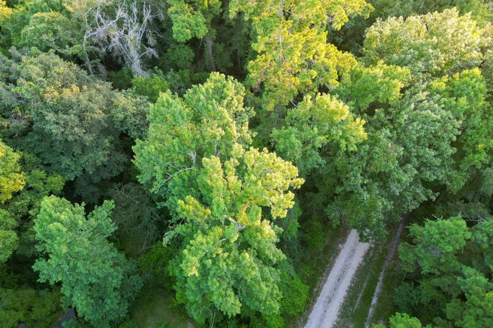 County Road 3612 Splendora, TX 77372