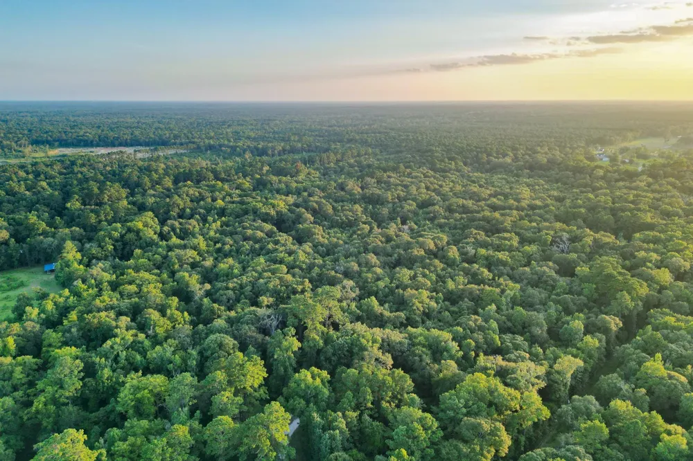 County Road 3612 Splendora, TX 77372