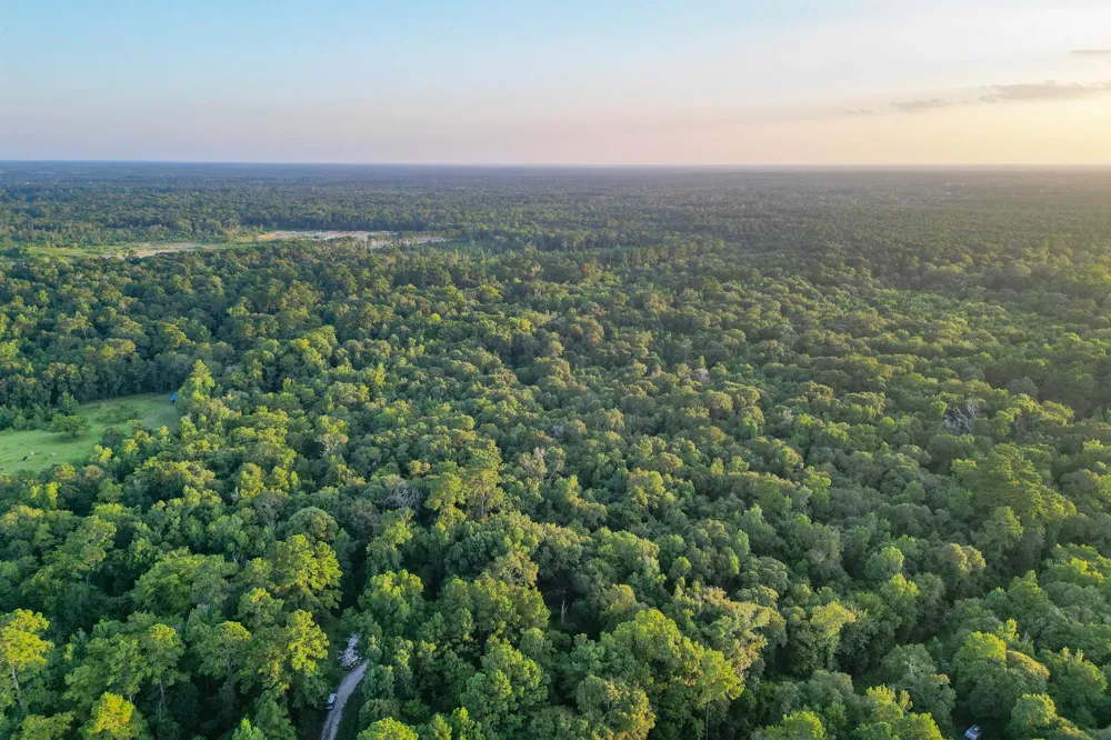 County Road 3612 Splendora, TX 77372
