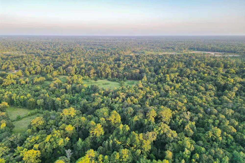 County Road 3612 Splendora, TX 77372