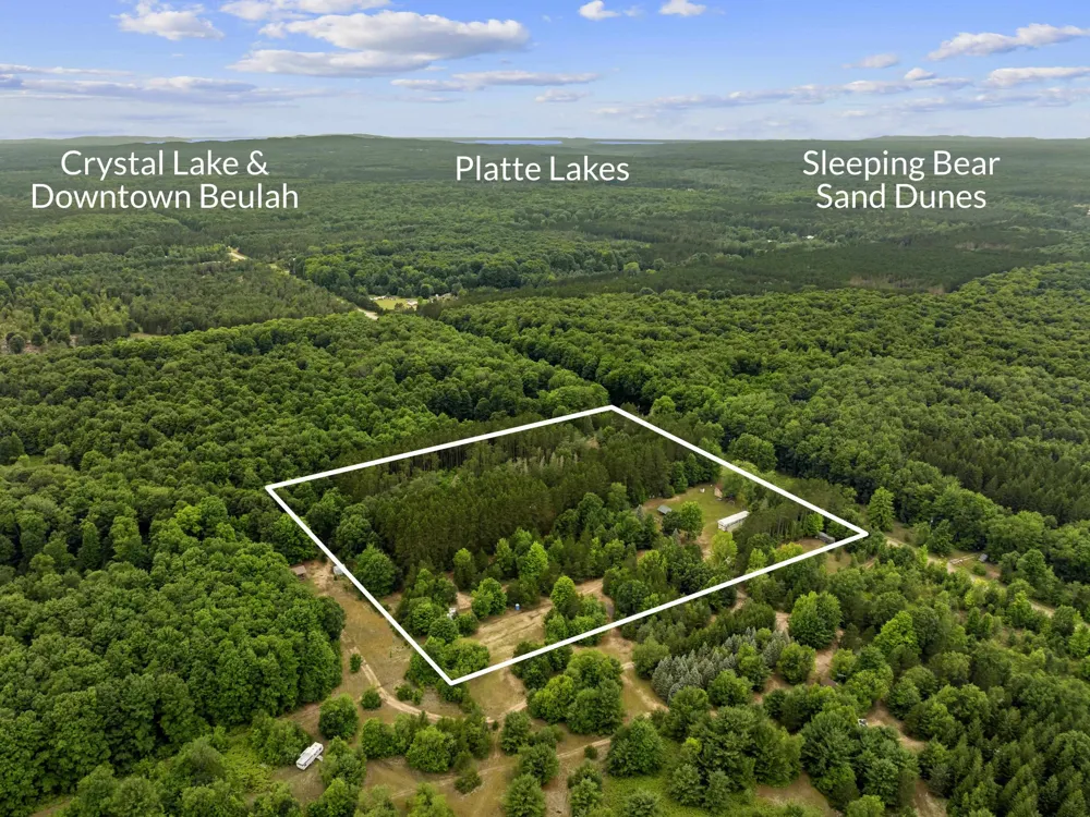15357 Homestead Road Inland Township, MI 49671