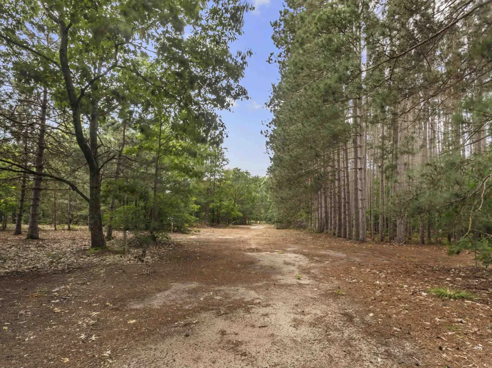 15357 Homestead Road Inland Township, MI 49671