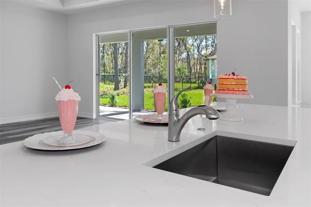 19364 SHELTERED HILL DRIVE Brooksville, FL 34601
