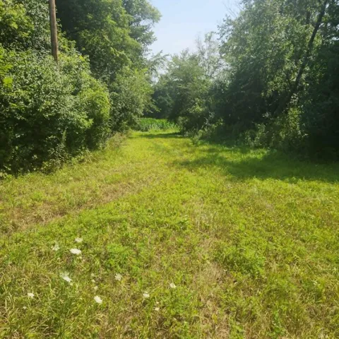 xxx 220th Ave Lot 2