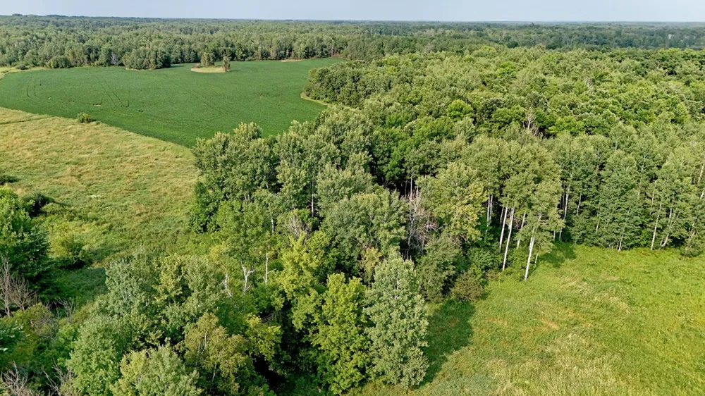 9311 Beroun Crossing Road Brook Park, MN 55007